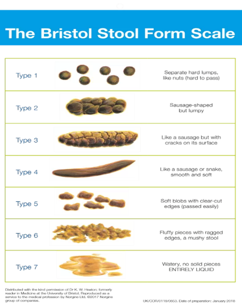 Colon Cancer Stool Shape